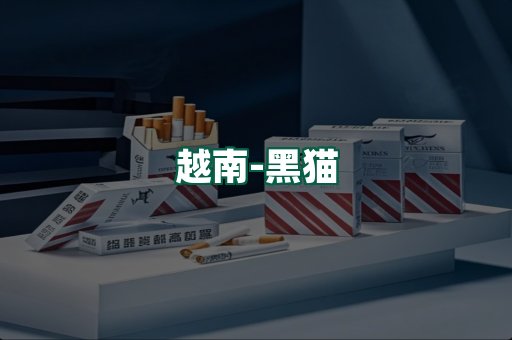 越南黑猫
